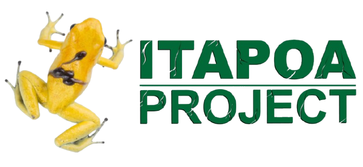 ITAPOA PROJECT